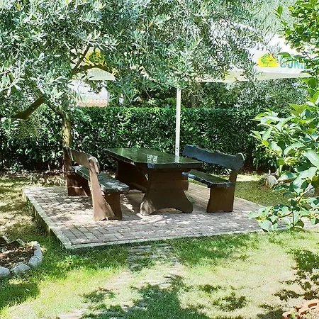 Apartmán Tezak